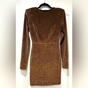 Kittenish Sparkly Holiday Dress